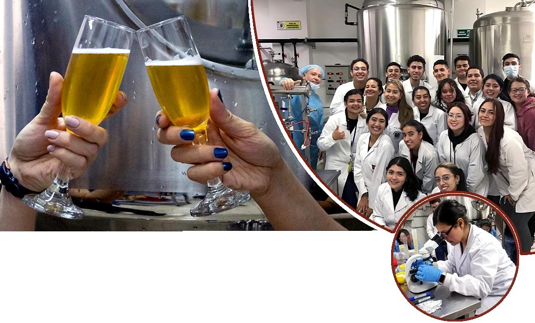 Curso de cervecería Terra Cruz