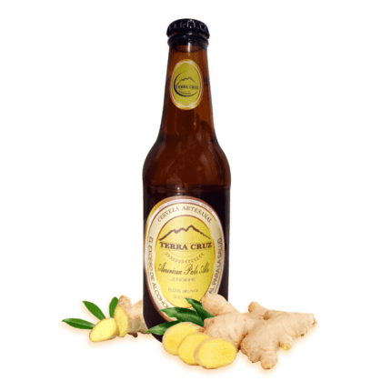 AMERICAN-PALE-ALE - -JENGIBRE-cerveza
