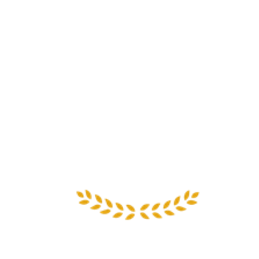 logotipo-terracruz