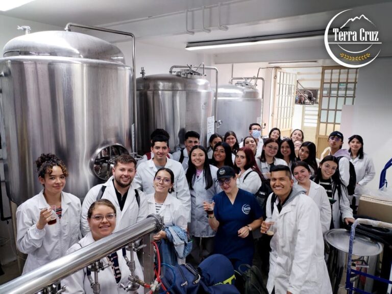 Curso 2